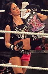 AJ Lee Fan Mail Address