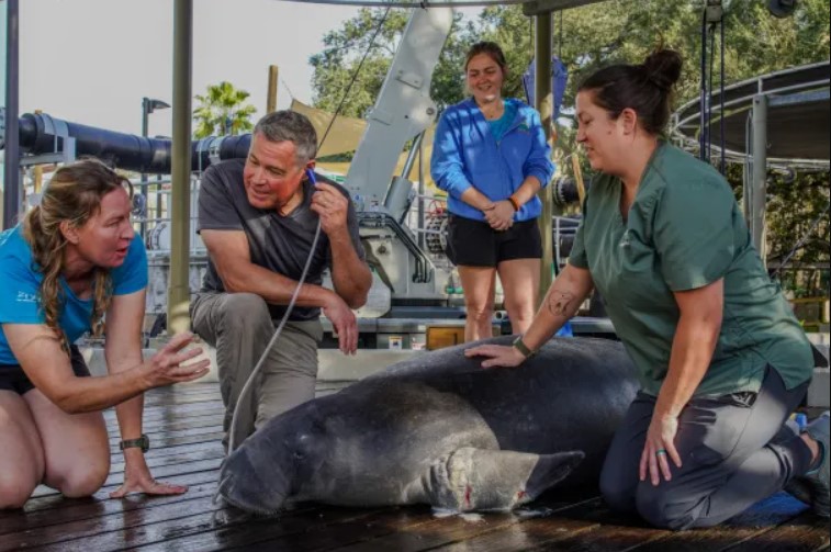 Jeff Corwin Fan Mail Address